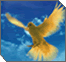 Reflections – The Ten Commandments