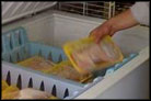 Mobile Grocer Changing Jewish Life in Southwest Florida Mobile Grocer Changing Jewish Life in Southwest Florida