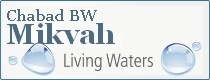 mikvah icon.jpg